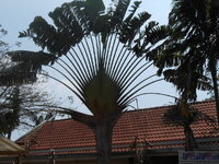 DSCN6767.JPG