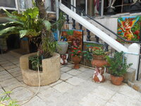 DSCN6789.JPG