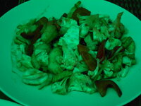 DSCN6816.JPG