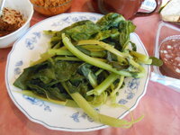 DSCN8926_new_new.jpg