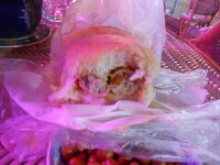 DSCN6669.JPG