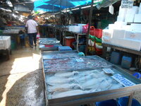 DSCN6931.JPG