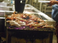 DSCN6966.JPG