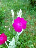 20230618_062645.jpg