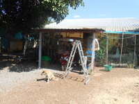 DSCN9410.JPG