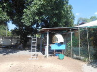DSCN9406.JPG