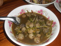 DSCN9337.JPG
