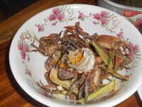 DSCN9338.JPG