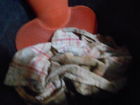 DSCN9350.JPG
