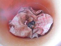 DSCN9272.JPG