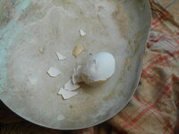 DSCN9268.JPG