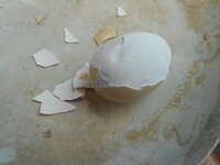 DSCN9269.JPG