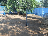 DSCN9439.JPG