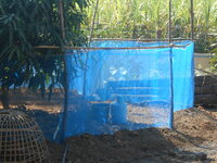 DSCN9436.JPG