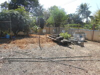 DSCN9409.JPG
