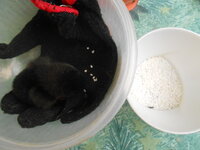 DSCN9412.JPG