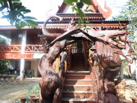 DSCN6181.JPG