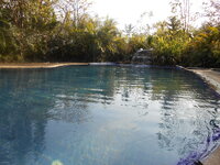 DSCN6191.JPG