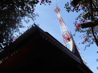 DSCN6223.JPG
