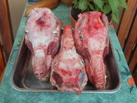 DSCN9417.JPG