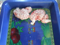 DSCN9430.JPG