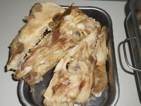 DSCN9453.JPG