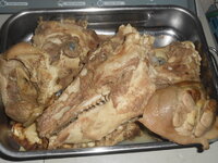 DSCN9456.JPG