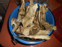 DSCN9458.JPG DSCN9458.JPG