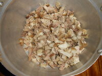 DSCN9490_new.jpg