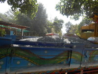 DSCN9572_new.jpg