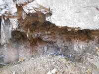 DSCN9550_new.jpg
