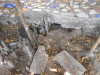 DSCN9553_new.jpg