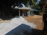 DSCN9603.JPG