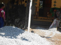DSCN9606_new.jpg