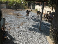 DSCN9607.JPG