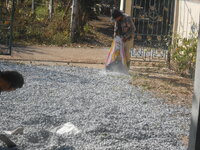 DSCN9608.JPG