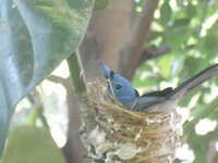 DSCN0267.JPG