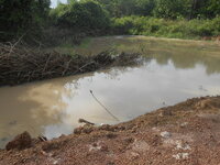 DSCN8380.JPG