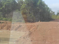 DSCN8377.JPG