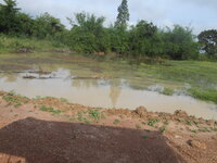 DSCN8379.JPG