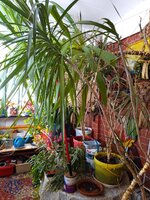 IMG_20230926_131955_259.jpg