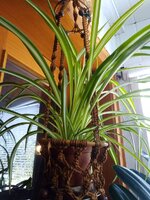 IMG_20230926_131448_089.jpg