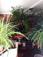 IMG_20230926_131830_781.jpg
