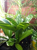 IMG_20230926_131326_919.jpg