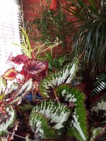 IMG_20230926_131345_580.jpg