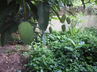DSCN8953_new.jpg