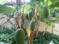 DSCN8954_new.jpg