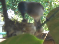 DSCN8764.JPG