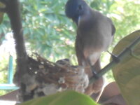 DSCN8765.JPG