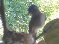 DSCN8766.JPG